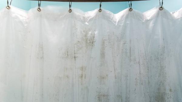 A shower curtain with mold on it.