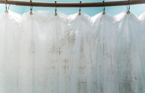 A shower curtain with mold on it.