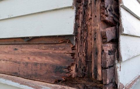 Rotting wood on the side of a house. 