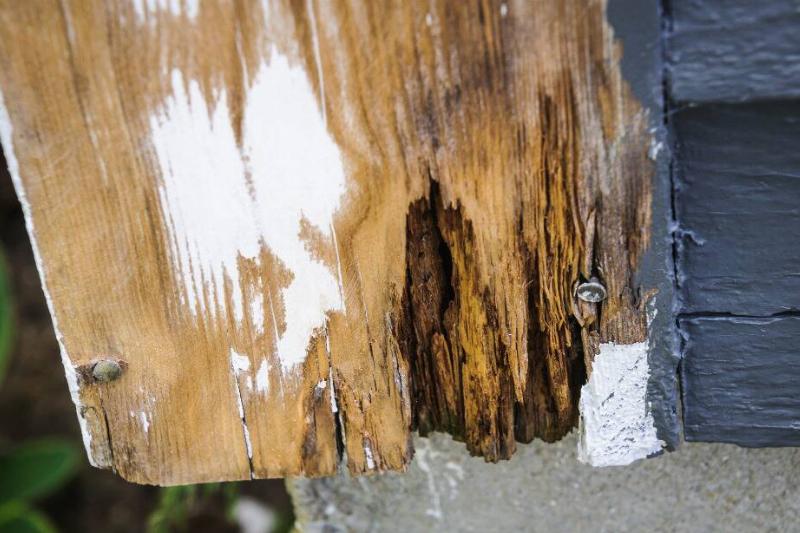 Wood that has been damaged by rot.