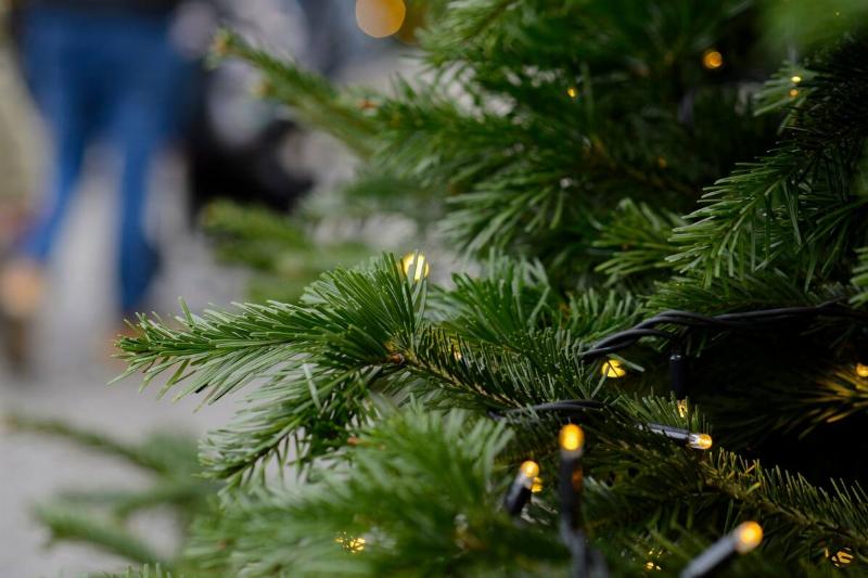 Lights on a fake Christmas tree. 