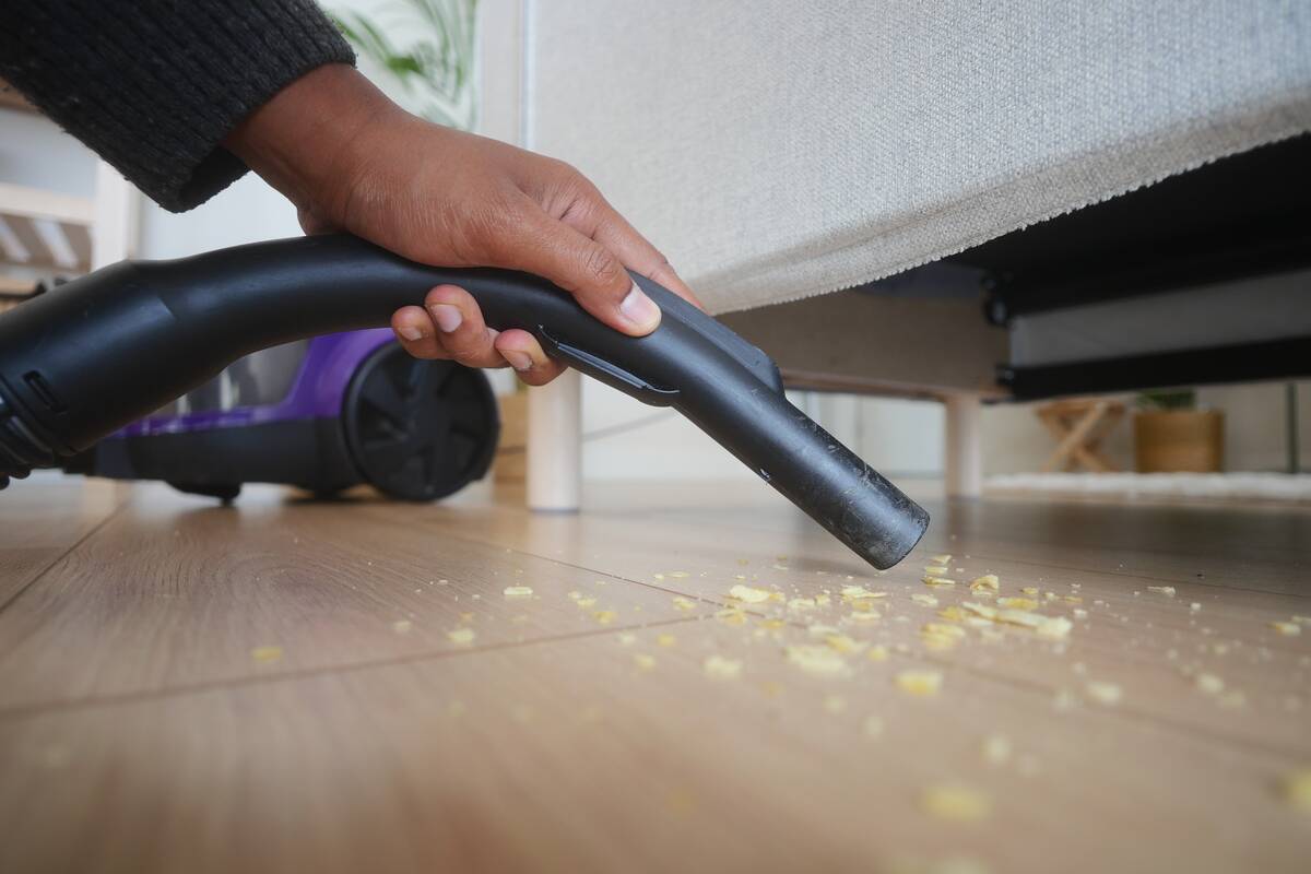 A person vacuums crumbs from the floor beneath a couch in a living room.