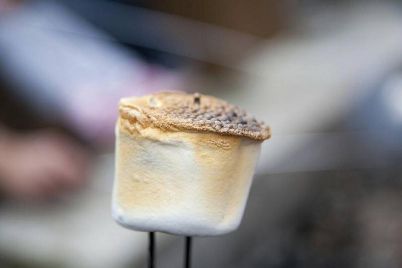 Close up of a toasted marshmallow.