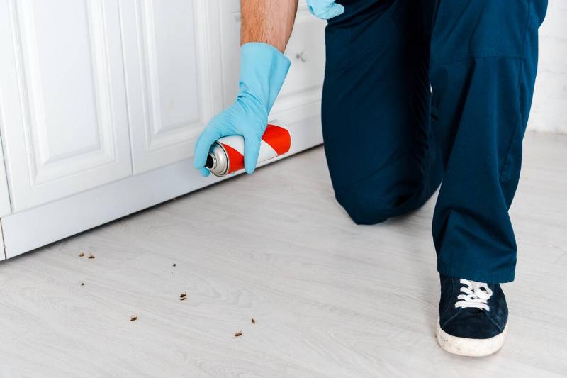 Exterminator spraying chemicals on bugs. 