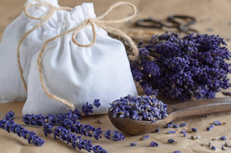Diy lavender sachets with loose flower buds and bunched lavender flowers.