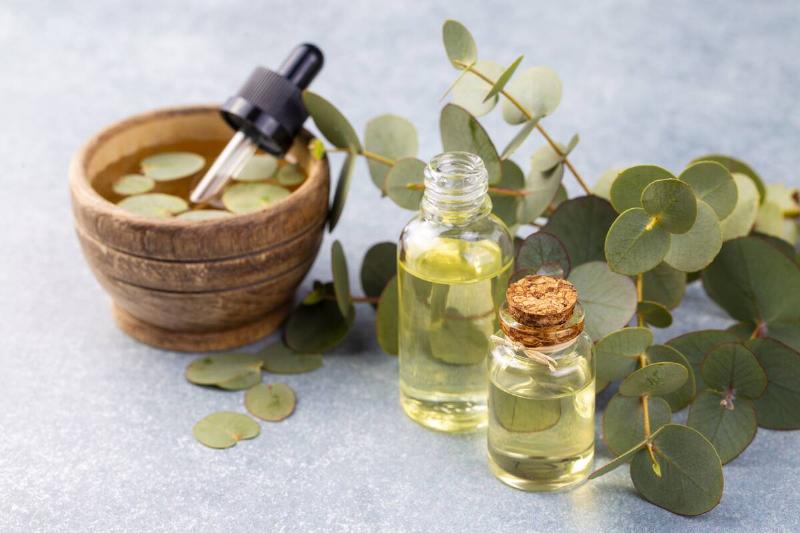 Eucalyptus leaves and essential oil.