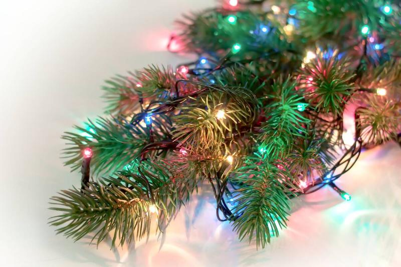 Branch of Christmas tree with LED lights. 
