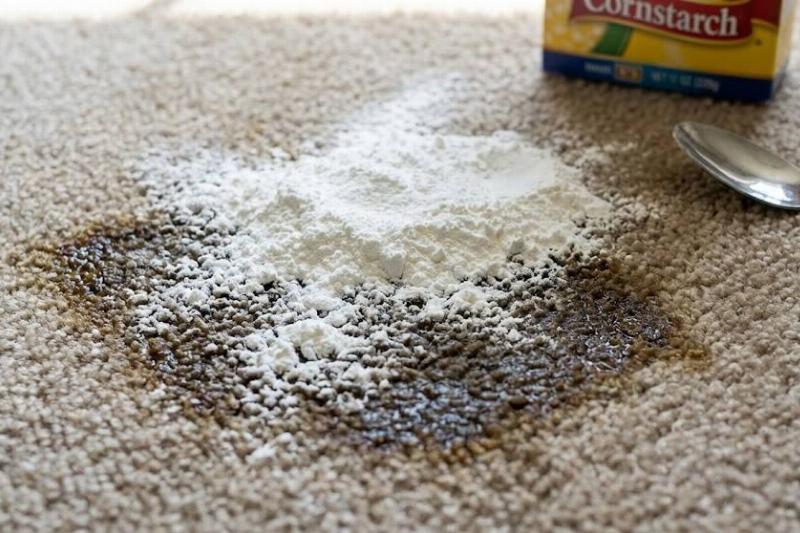 Cornstarch on an oily carpet stain. 