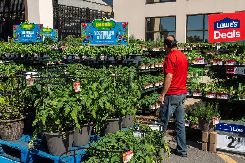 A customer in the garden area at a Lowe's store.