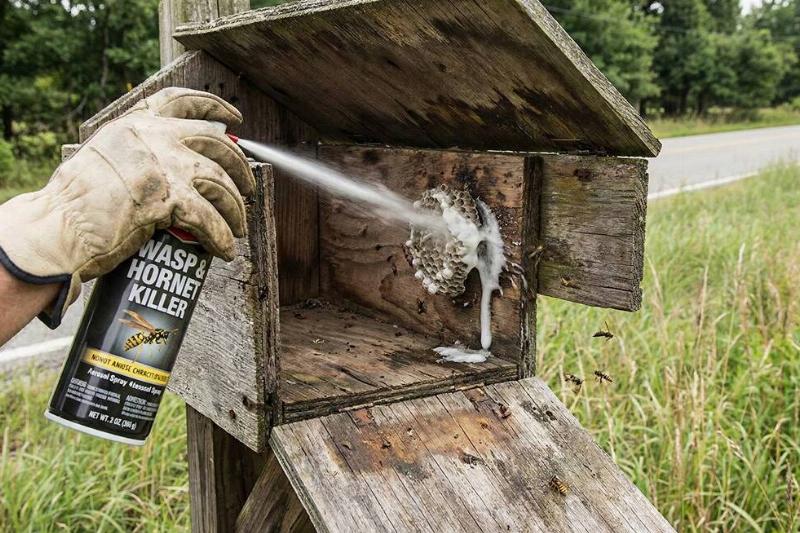 Wasp spray being sprayed inside of a wooden mailbox. 