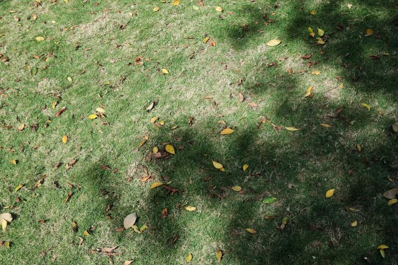 aaron-boucicault-emrESKhRDlY-unsplash