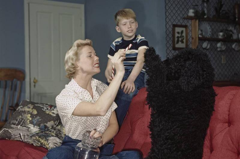 at-home-with-doris-terry-17505