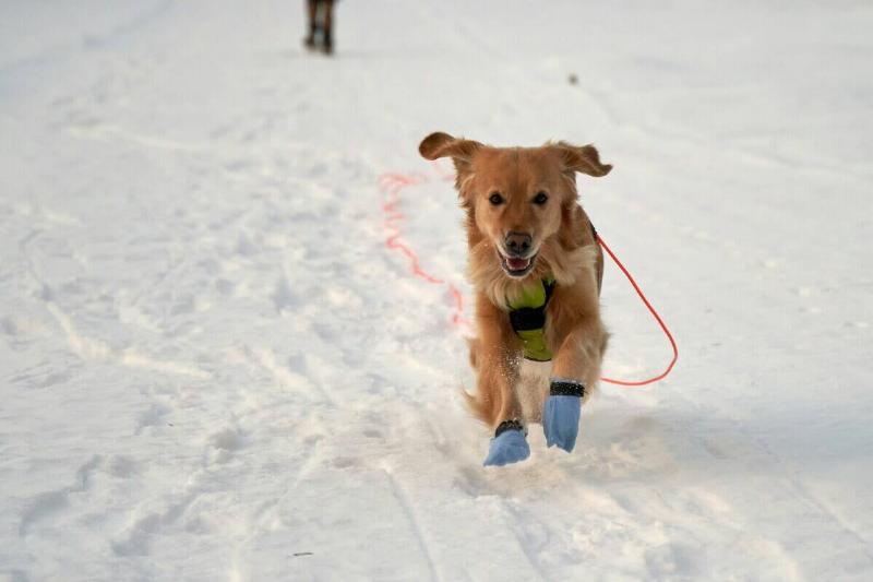 barnabas-davoti-CTXKNg0Kt4s-unsplash