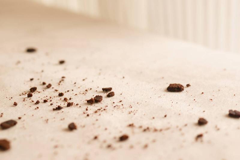 Mouse droppings on white surface. 