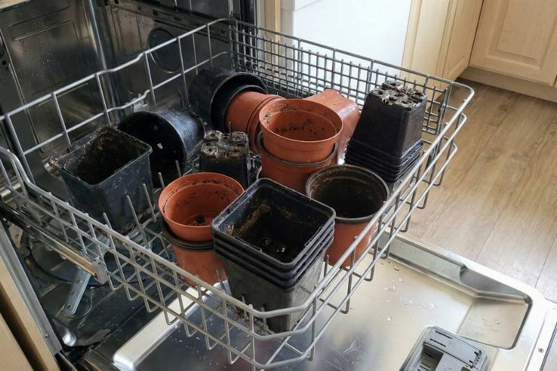 Plastic garden pots on the top rack of a dishwasher.