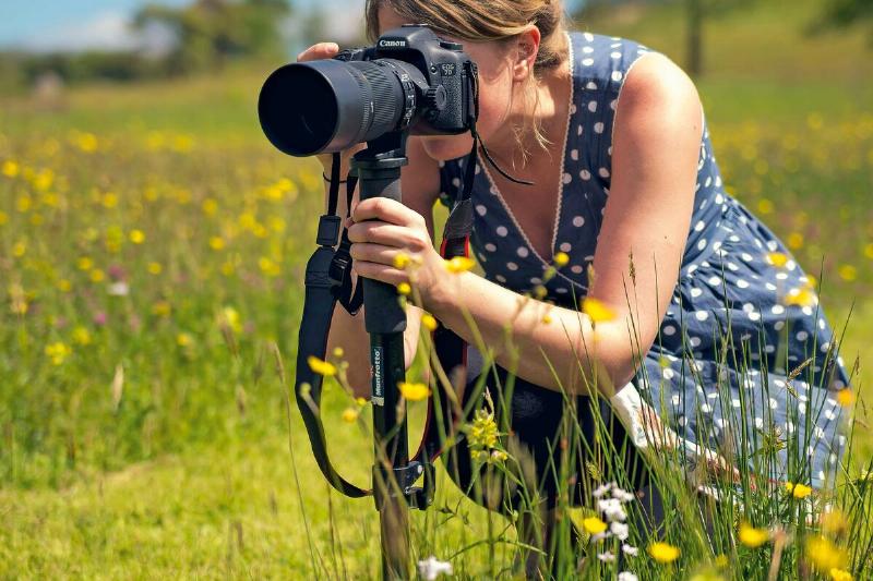 Insect And Flower Macro Shoots