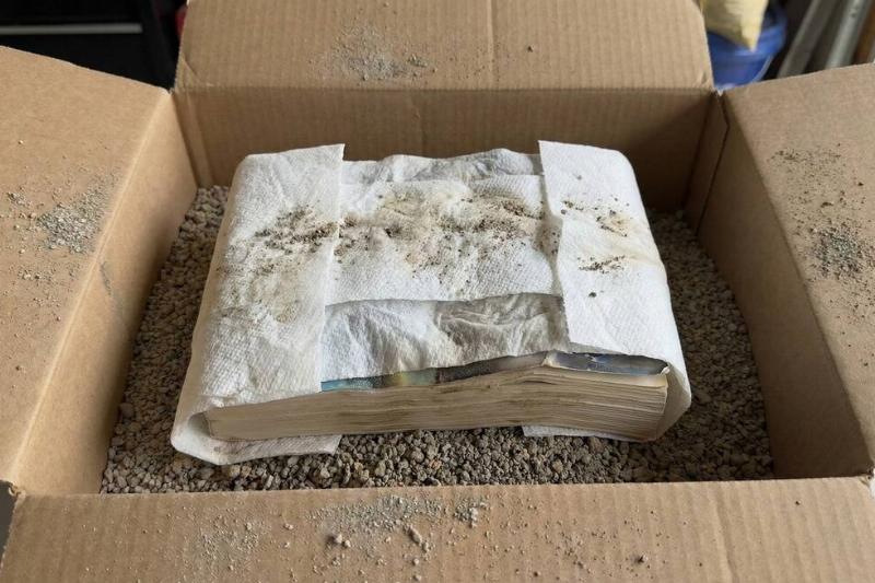 A book that has been covered in paper towel in a box of kitty litter. 