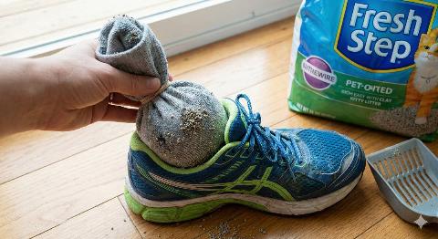 A hand putting a sock full of kitty litter into a running shoe. 
