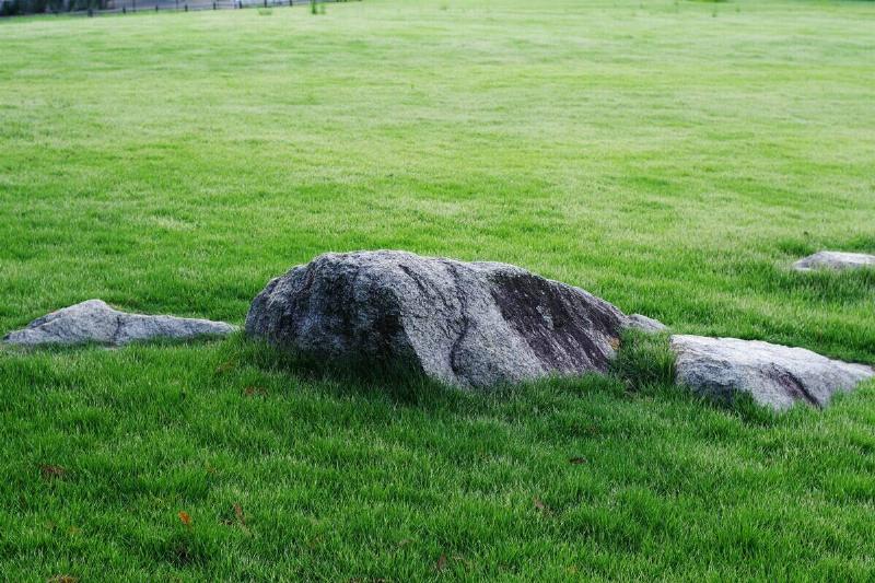 naoki-suzuki-5Wb4mCPXtRQ-unsplash