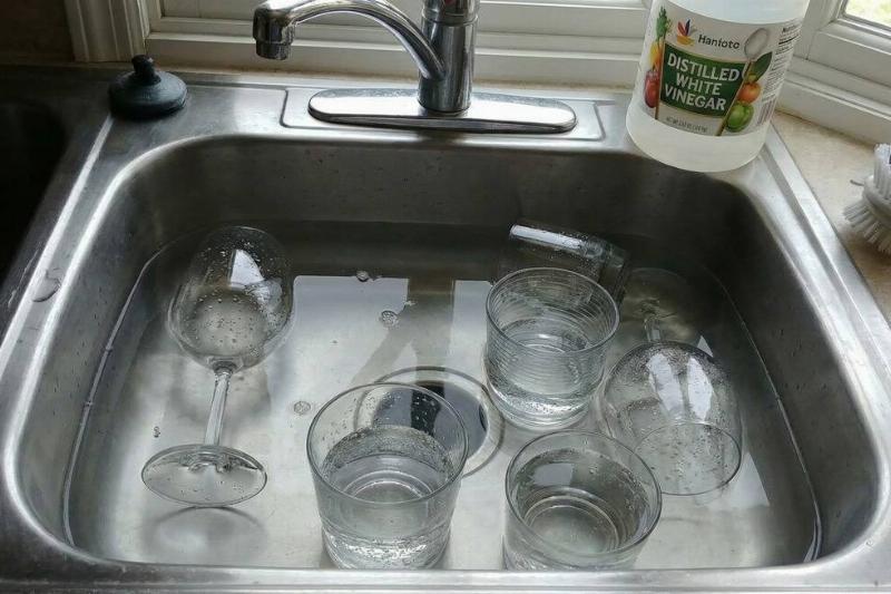 Glasses soaking in a sink of vinegar and water. 