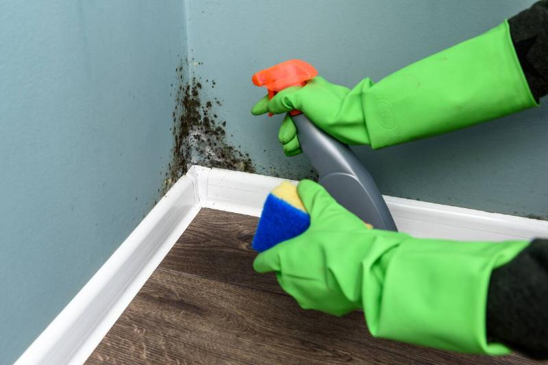 A spray bottle of bleach used on black mold on wall. 