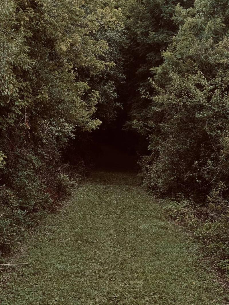 this-dark-part-of-my-nature-trail-v0-vjmerkv58zfg1