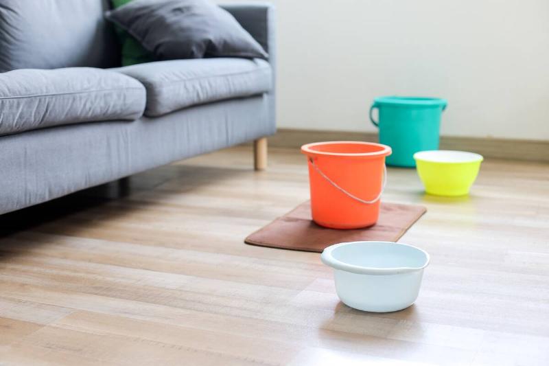 Bowls of water placed around a sofa. 