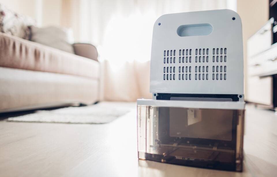 Home 20 What A Dehumidifier Actually Does — And When You Really Need One