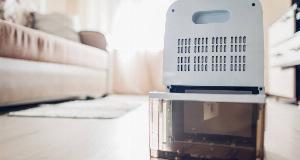 What A Dehumidifier Actually Does — And When You Really Need One