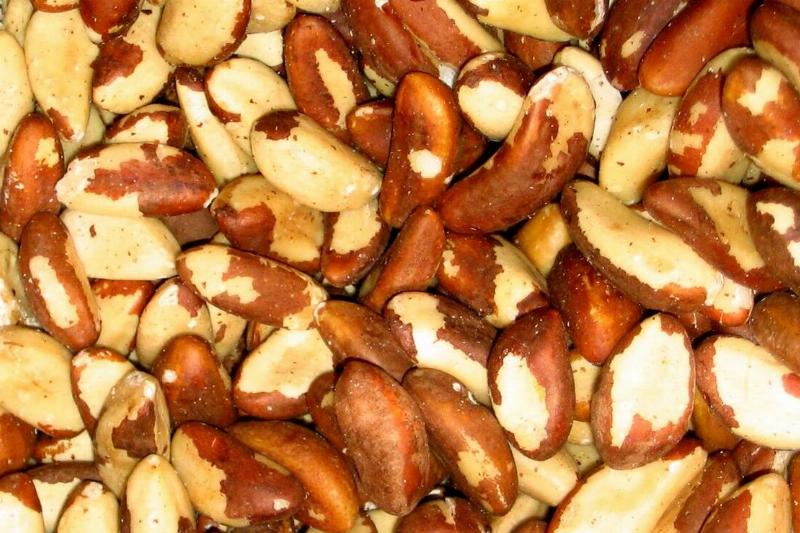 Brazil_nuts