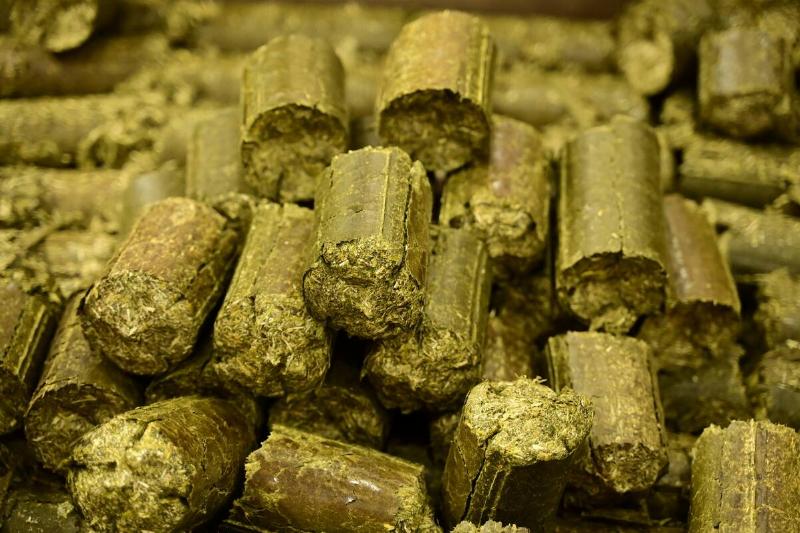 Alfalfa meal fertilizer sticks. 