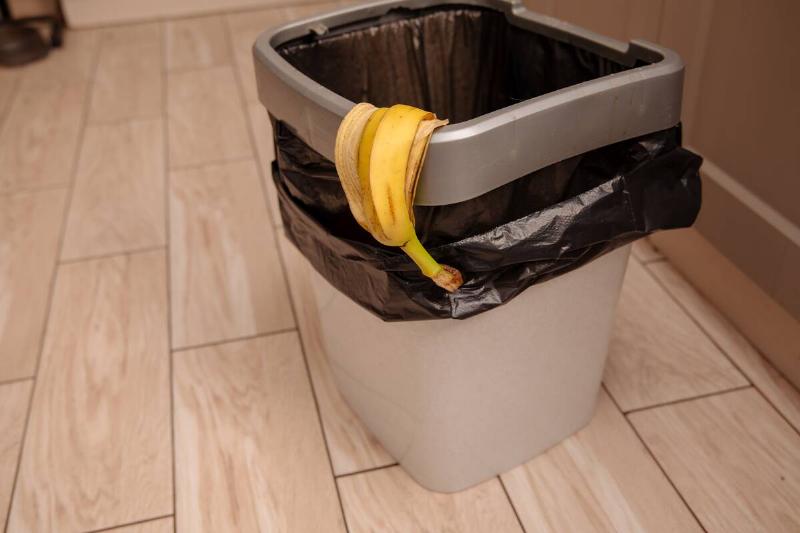 Banana peel hanging out of a garbage can.