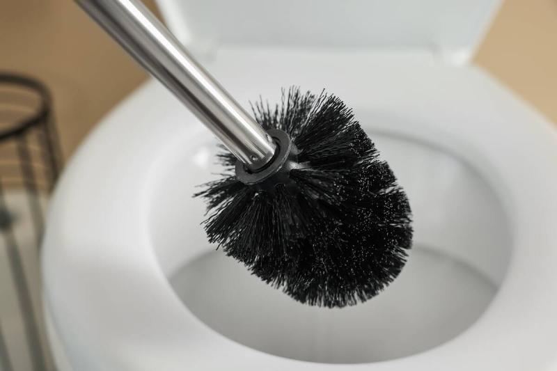 Black toilet brush in front of toilet. 