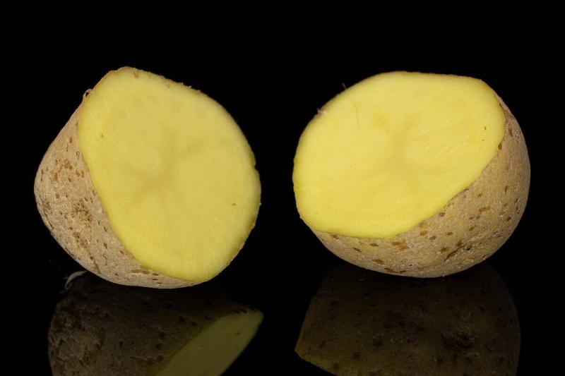 A single potato cut in half. 