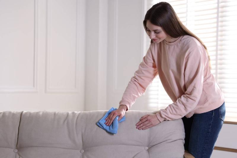 Woman wiping sofa with rag. 