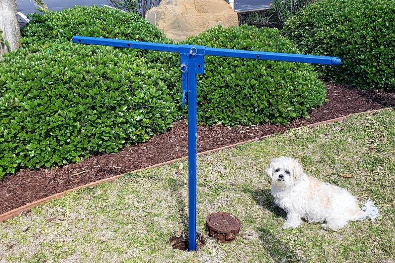 A curb key in the water valve. 