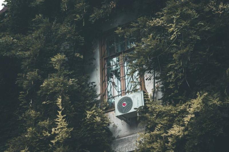 kira-porotikova-SSurHt-rAnc-unsplash