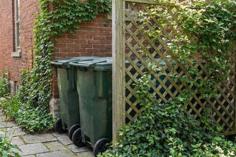 Lattice with climbing vines hiding two garbage bins. 