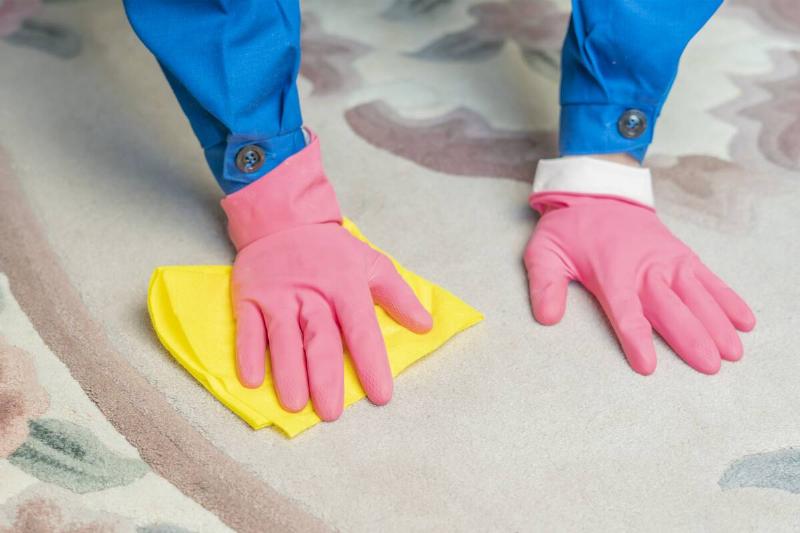 Hands in gloves cleaning carpet with cloth. 