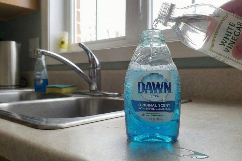 A hand pouring vinegar into the bottle.