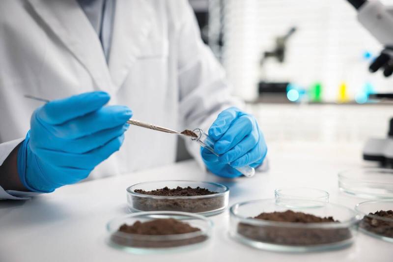 Scientists studying soil. 