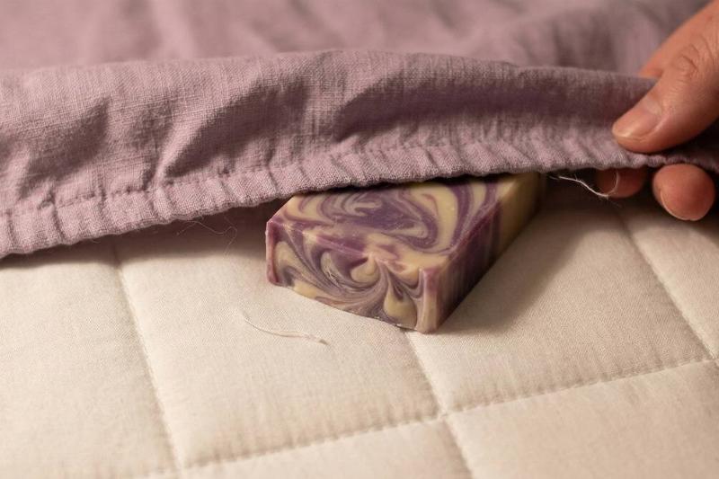 Soap under a fitted sheet on a mattress. 