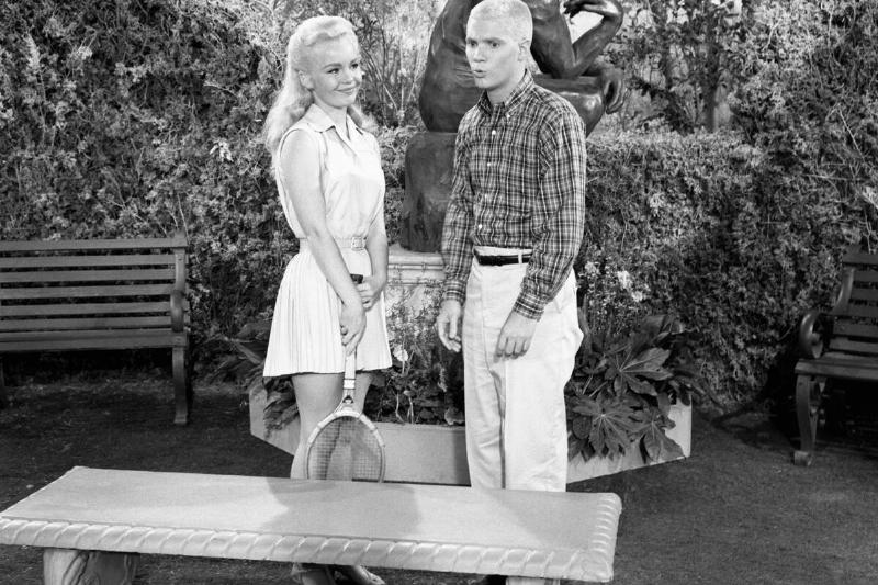 The Many Loves of Dobie Gillis