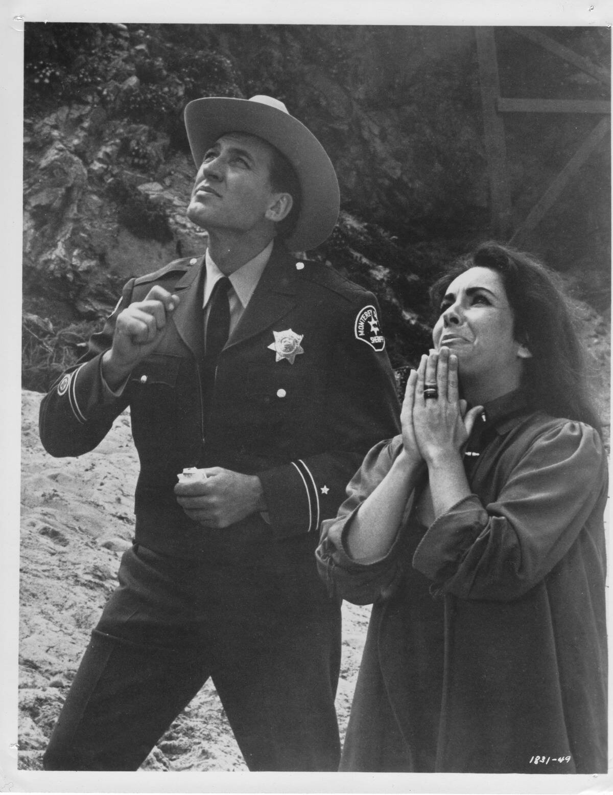 the-sandpiper_doVygt