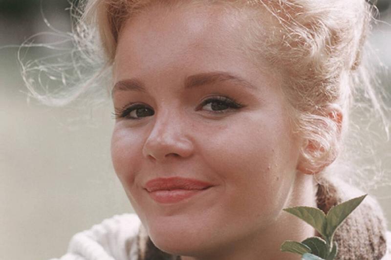 Tueday Weld Portrait Session