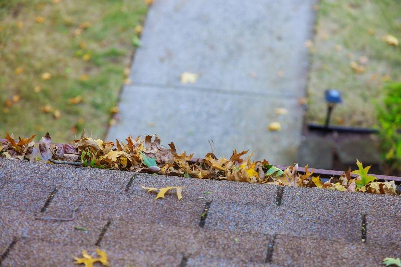 A gutter clogged with leaves.