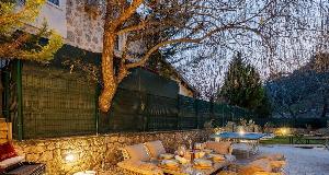 What To Do About A Neighbors Tree That’s Growing Onto Your Property