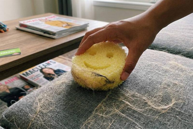 A Scrub Daddy being used to clean pet hair off a couch. 