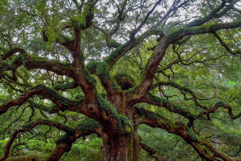 andrew-shelley-Hzbq4de24kQ-unsplash