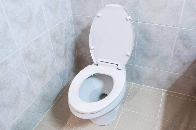 Clean old ceramic toilet inside the bath room.